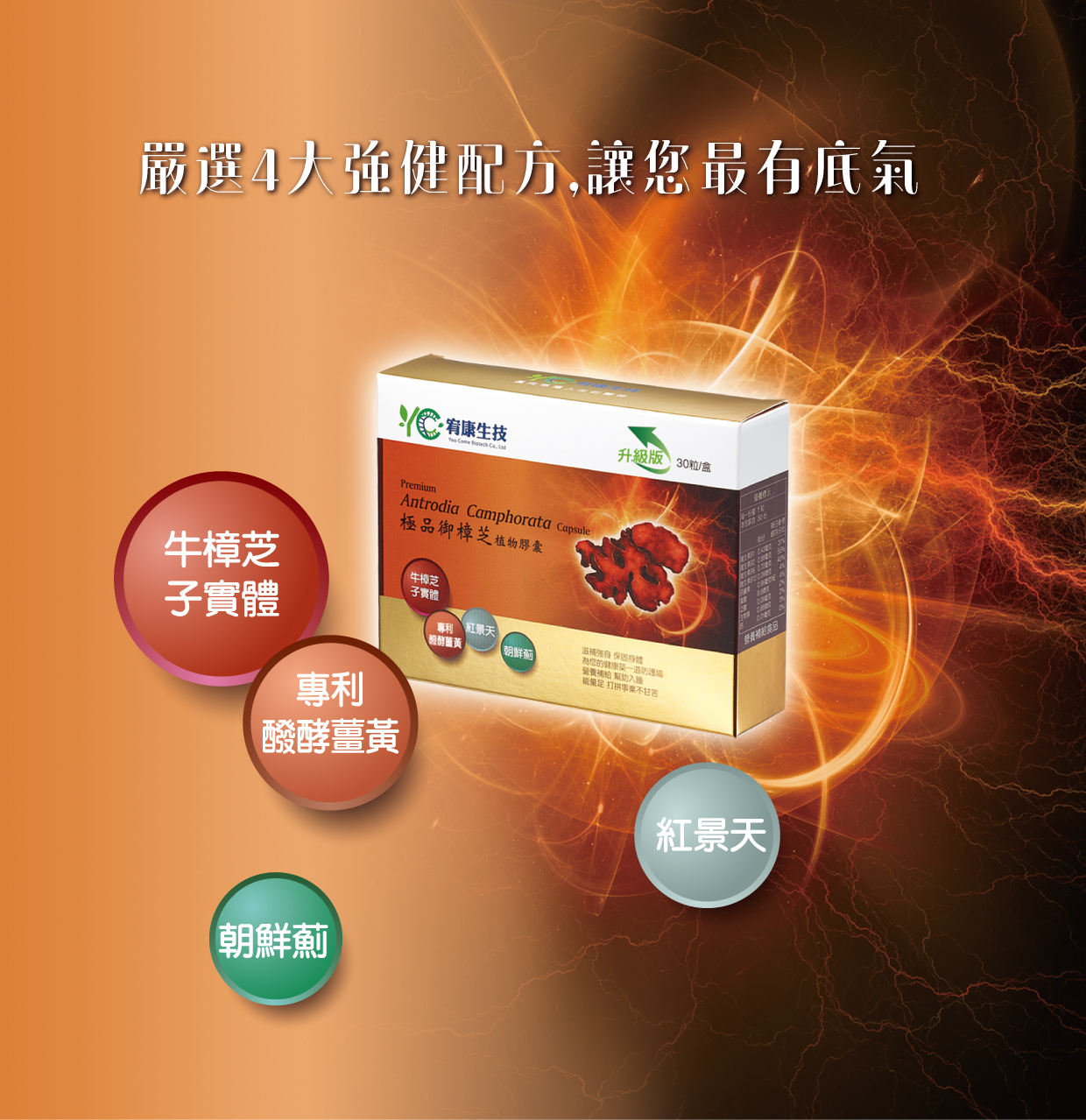 御樟芝素食膠囊