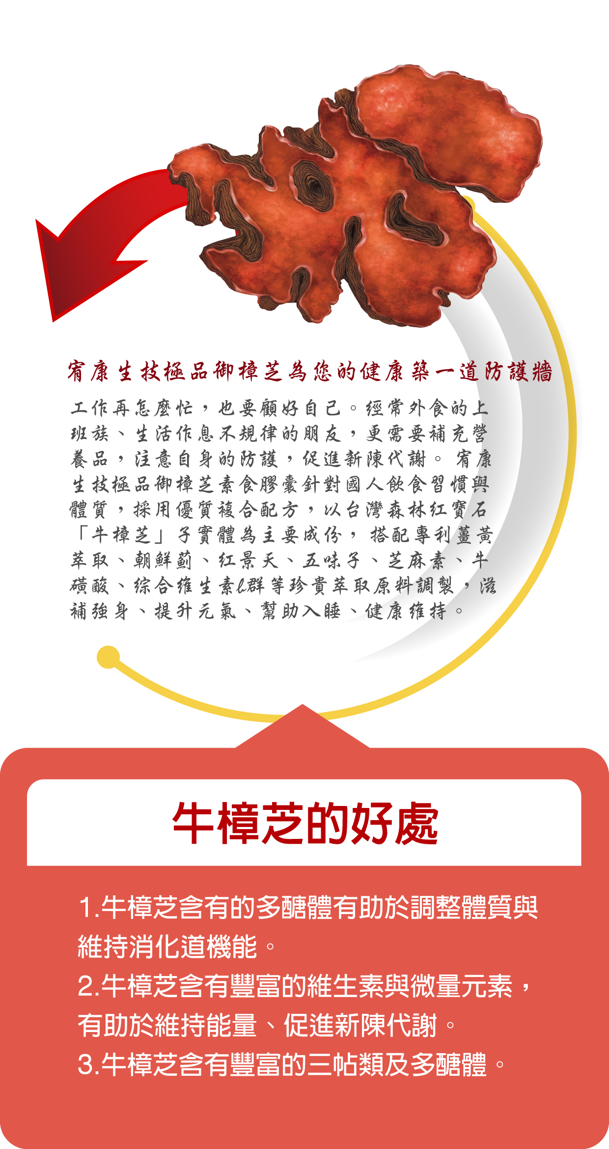 御樟芝素食膠囊