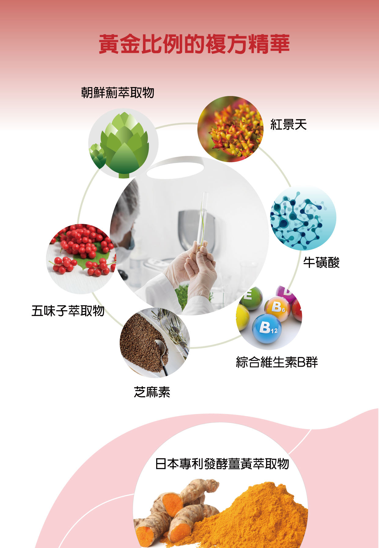 極品御樟芝植物膠囊
