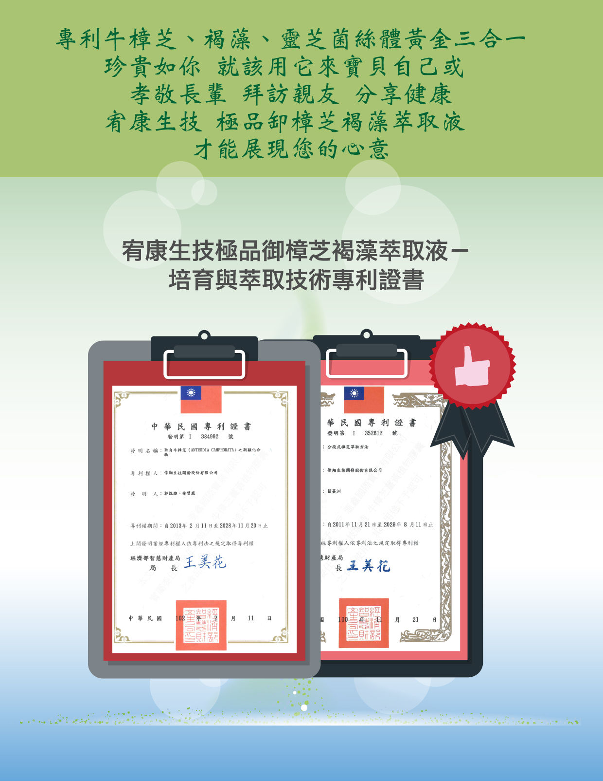 御樟芝褐藻萃取液