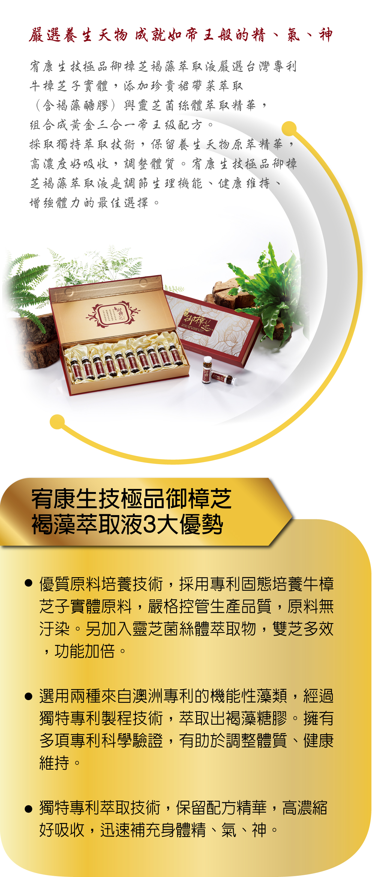 極品御樟芝褐藻萃取液