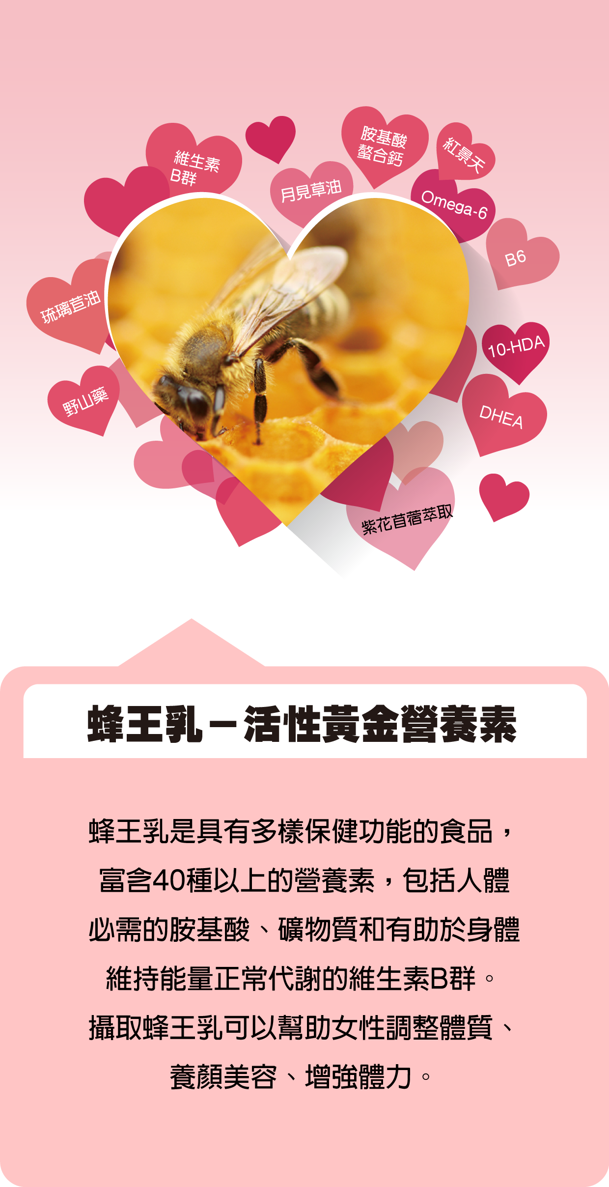 美麗人生軟膠囊