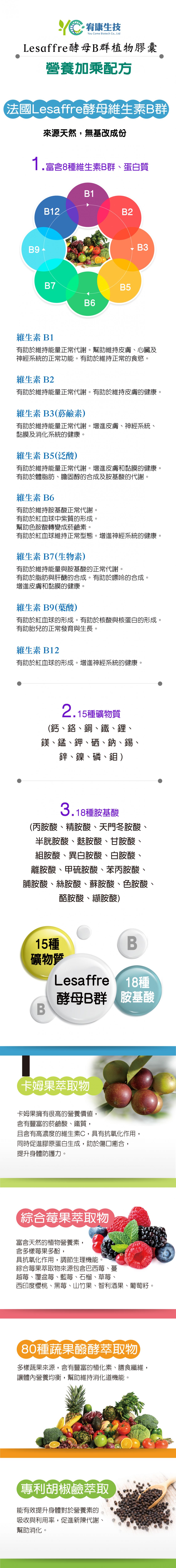 酵母B群植物膠囊