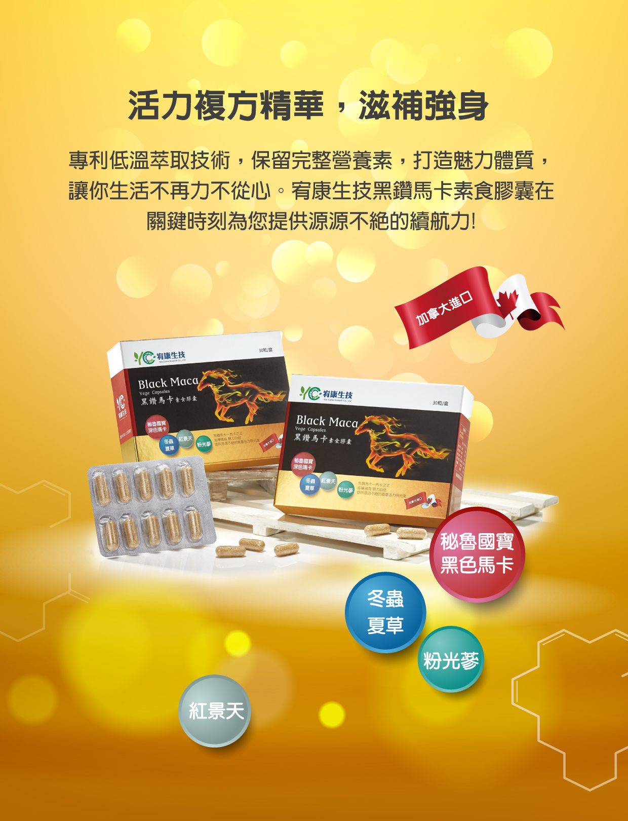 黑鑽馬卡素食膠囊